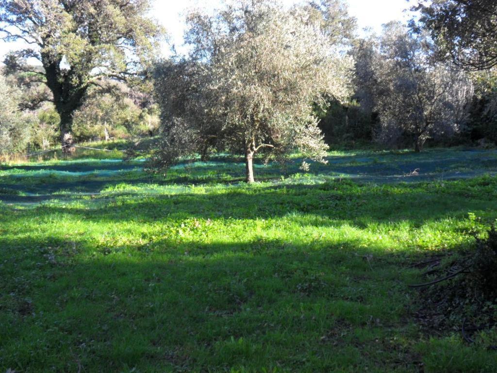 Gite U Licetu A La Campagne Oreta Exterior photo